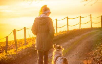 Stories From 70 Weeks of Prayer – A Week of Trusting